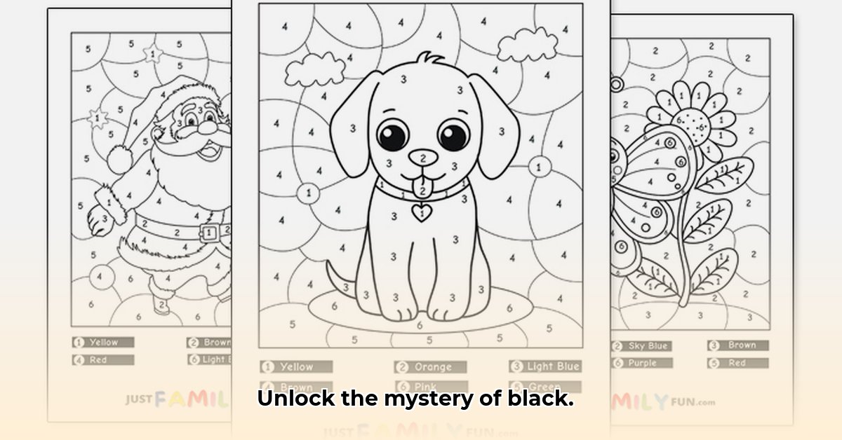 black-color-by-number